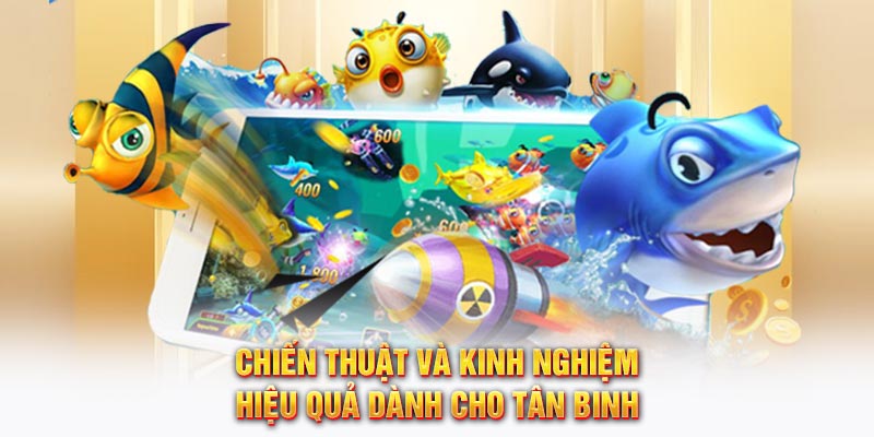 Chiến thuật và kinh nghiệm hiệu quả dành cho tân binh