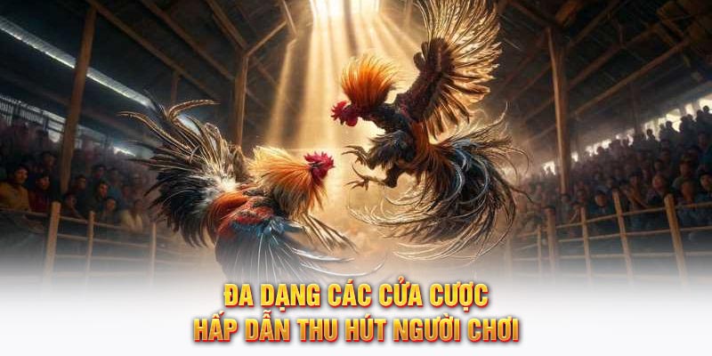 Đa dạng các cửa cược hấp dẫn thu hút người chơi