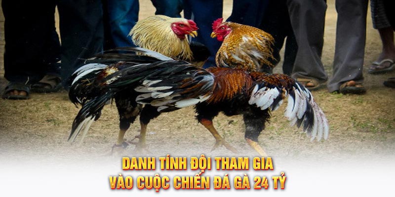 Danh tính đội tham gia vào cuộc chiến đá gà 24 tỷ