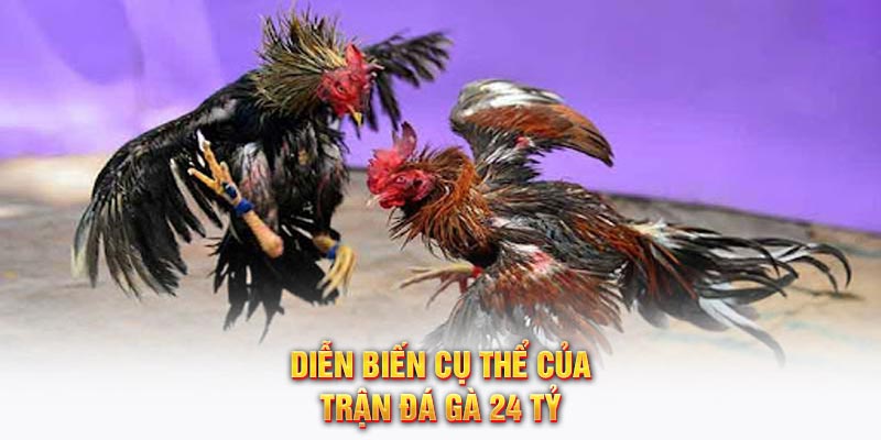 Diễn biến cụ thể của trận đá gà 24 tỷ