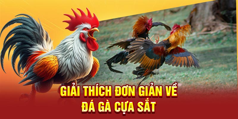 Giải thích đơn giản về đá gà cựa sắt