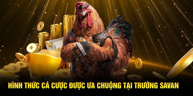 Hình thức cá cược được ưa chuộng tại trường Savan