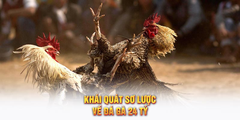 Khái quát sơ lược về đá gà 24 tỷ
