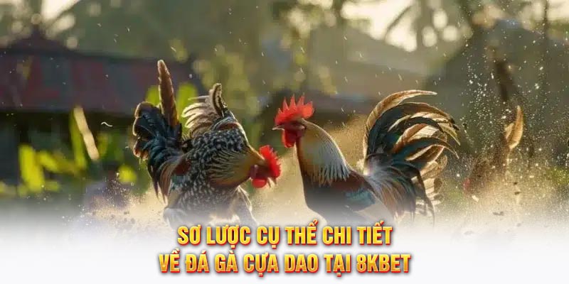 Sơ lược cụ thể chi tiết về đá gà cựa dao tại 8KBET