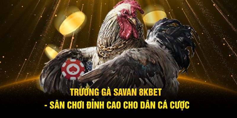 Trường gà Savan